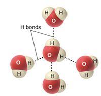 water H bonds